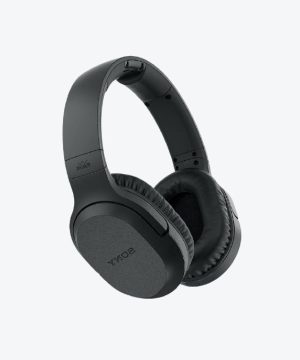 Casque TV Sans Fil Sony MDR-RF895RK